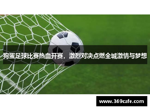 狗蛋足球比赛热血开赛，激烈对决点燃全城激情与梦想